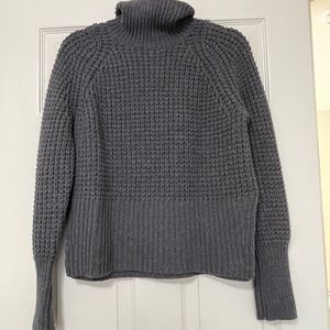 Everlane Gray chunky Turtleneck